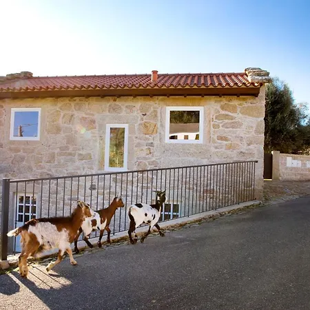 Tio Ze - Casas De Selim اركوس دي فالديفيز