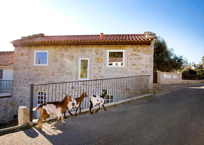 Tio Zé - Casas De Selim Arcos de Valdevez
